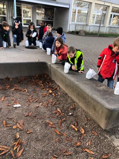 Umzug der 1.Klassen 1