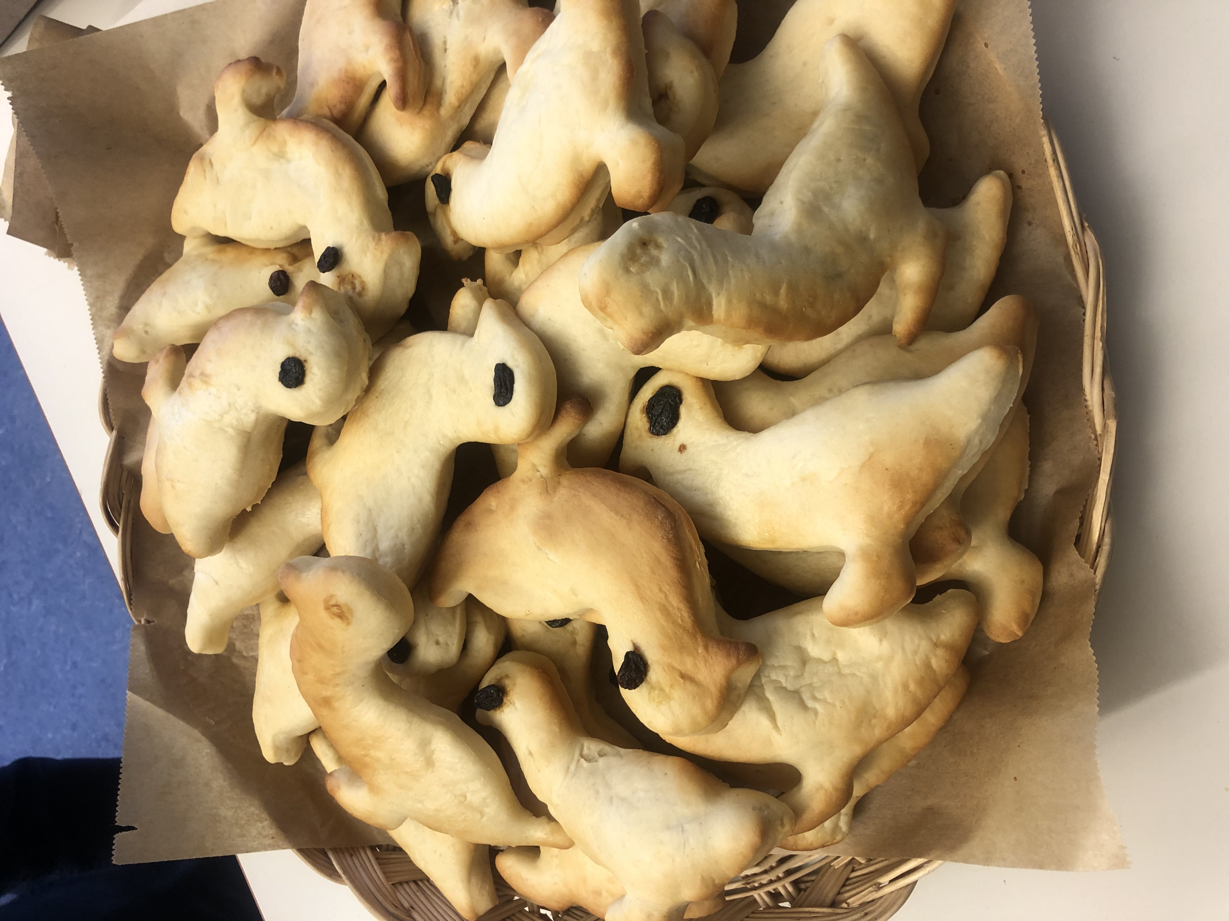 Umzug der 1.Klassen 2